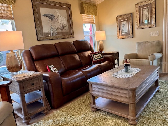 living room with hardwood / wood-style floors and ornamental molding