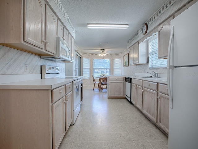 kitchen featuring sink, a healthy amount of sunlight, light brown cabinets, and white appliances