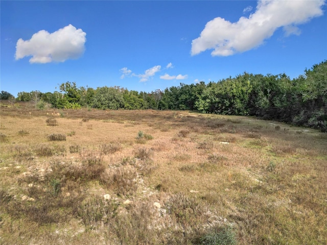 view of local wilderness with a rural view