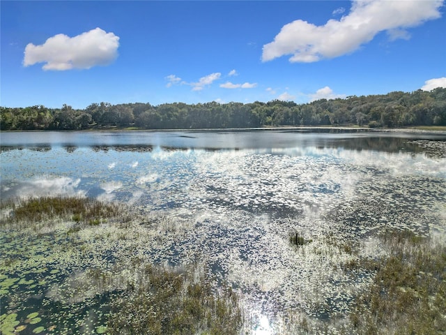 water view