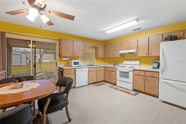 kitchen with a textured ceiling, white appliances, ceiling fan, sink, and light brown cabinets