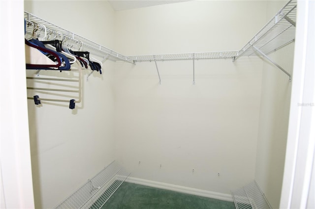 spacious closet with dark colored carpet