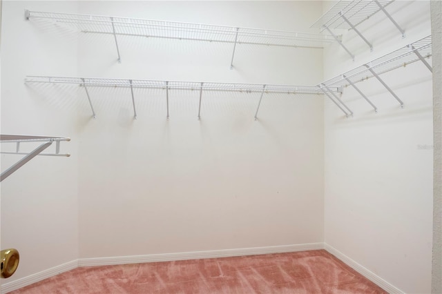 walk in closet with carpet