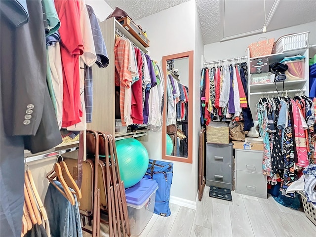 spacious closet with light hardwood / wood-style flooring