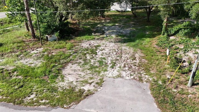 31444 State Road 44, Eustis, FL 32736 - photo 3