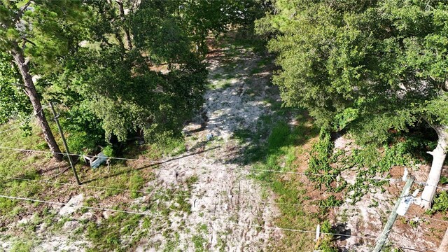 31444 State Road 44, Eustis, FL 32736 - photo 13