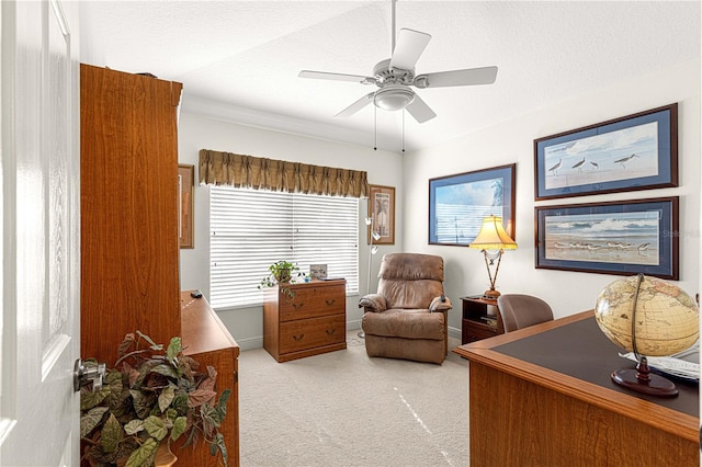 carpeted office space with ceiling fan and a textured ceiling