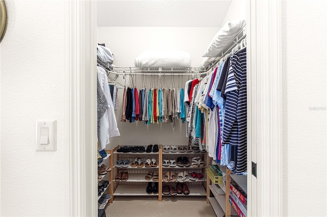 spacious closet featuring carpet flooring