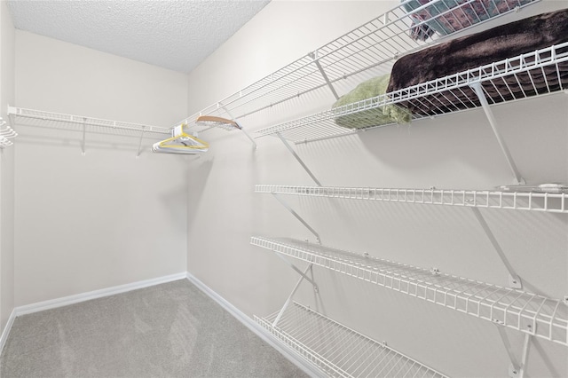 walk in closet featuring carpet floors