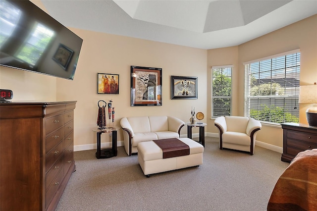 living room with light carpet