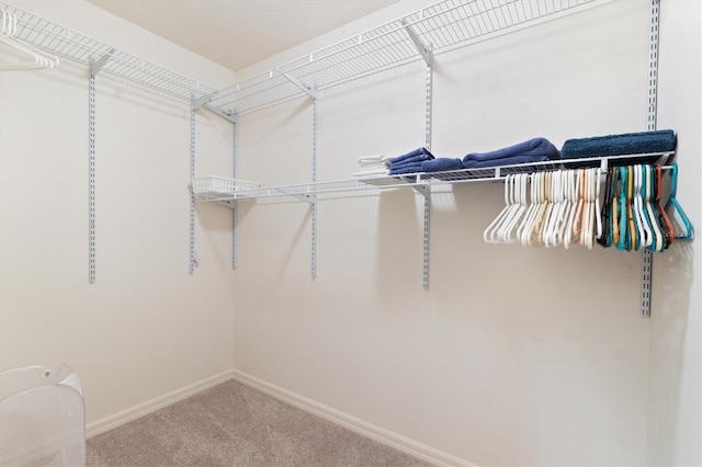 walk in closet featuring carpet floors