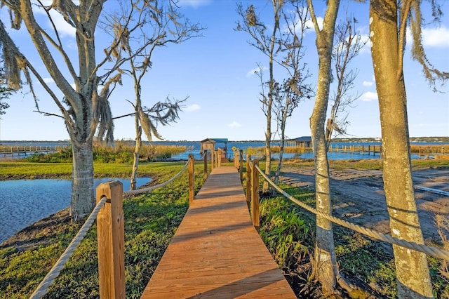 dock area with a water view