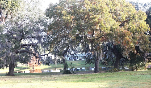 view of community with a yard and a water view