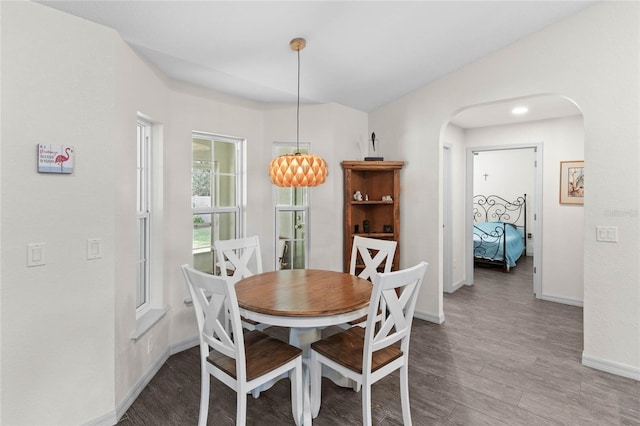 dining room featuring dark wood-type flooring