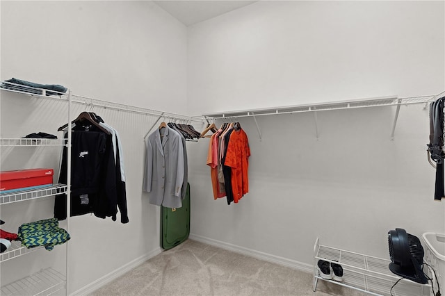 walk in closet featuring carpet