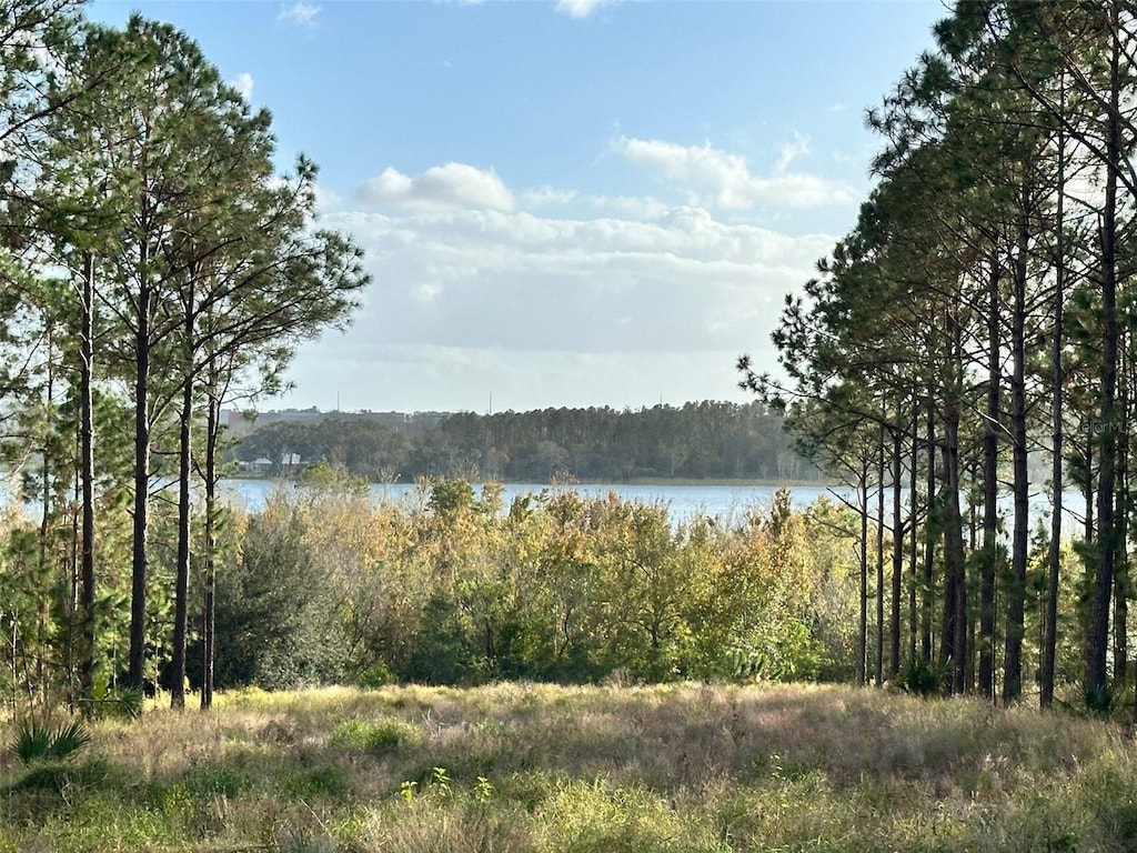 16744 Artimino Loop, Bella Collina, FL 34756 - photo 1