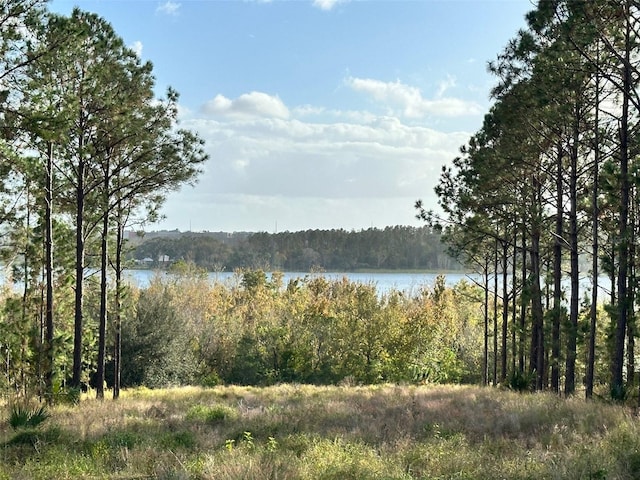 16744 Artimino Loop, Bella Collina, FL 34756 - photo 1