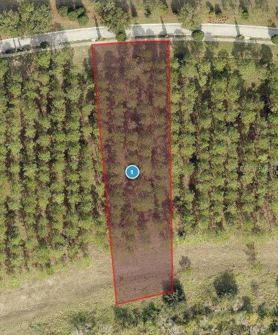 16744 Artimino Loop, Bella Collina, FL 34756 - photo 2