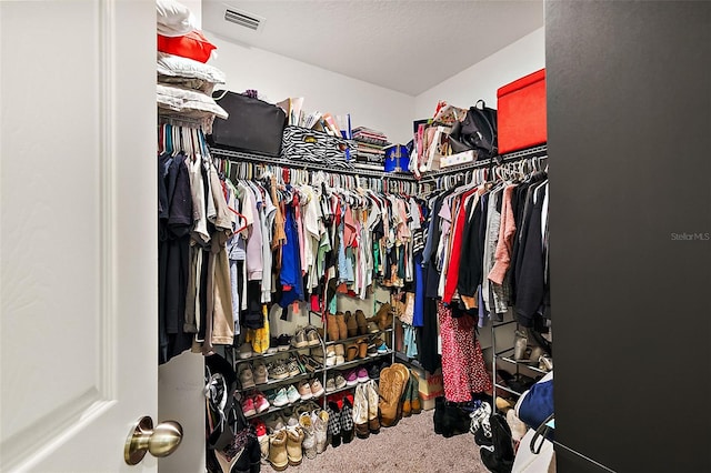 walk in closet with carpet floors