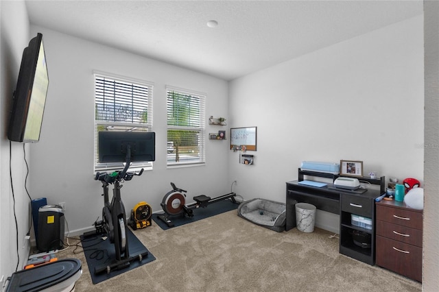 home office with light colored carpet