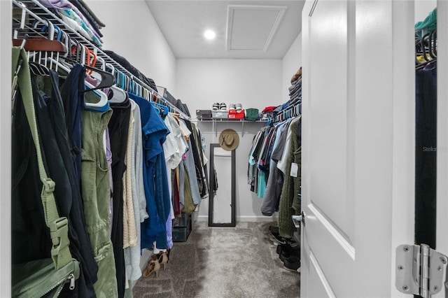 walk in closet with carpet