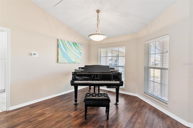 misc room featuring dark hardwood / wood-style floors and vaulted ceiling