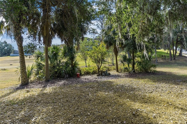 39320 Harbor Hills Blvd, Lady Lake, FL 32159 - photo 44