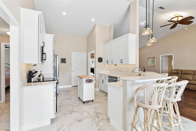39320 Harbor Hills Blvd, Lady Lake, FL 32159 - photo 4