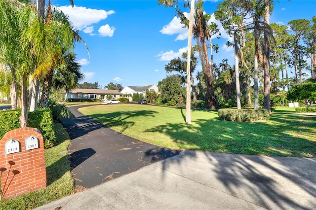 surrounding community featuring a yard