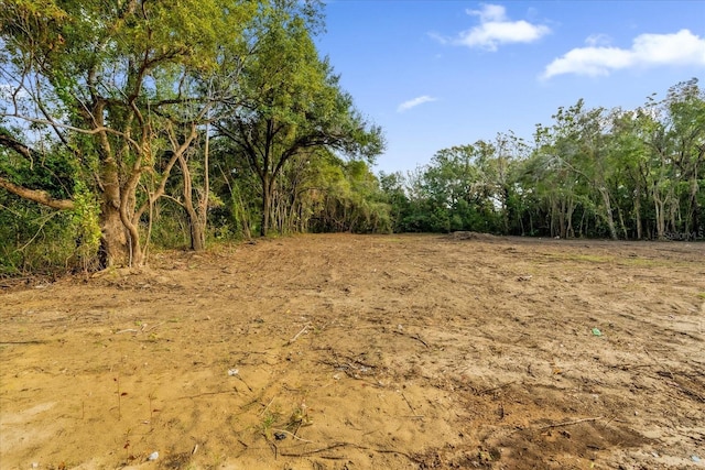 view of local wilderness