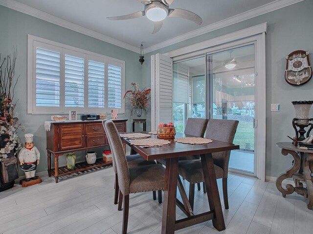 dining space featuring plenty of natural light, ceiling fan, light wood-type flooring, and crown molding