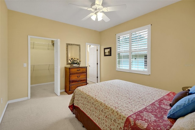 carpeted bedroom with ceiling fan, a walk in closet, and a closet