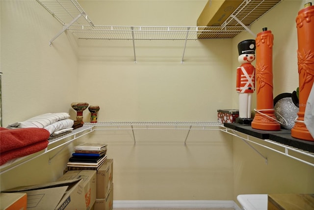 view of spacious closet