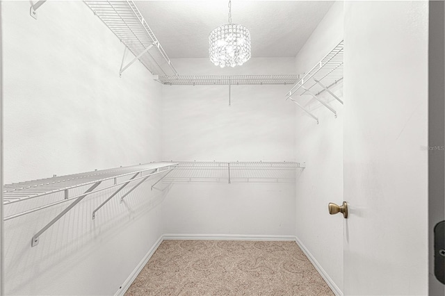 spacious closet with carpet flooring and a chandelier