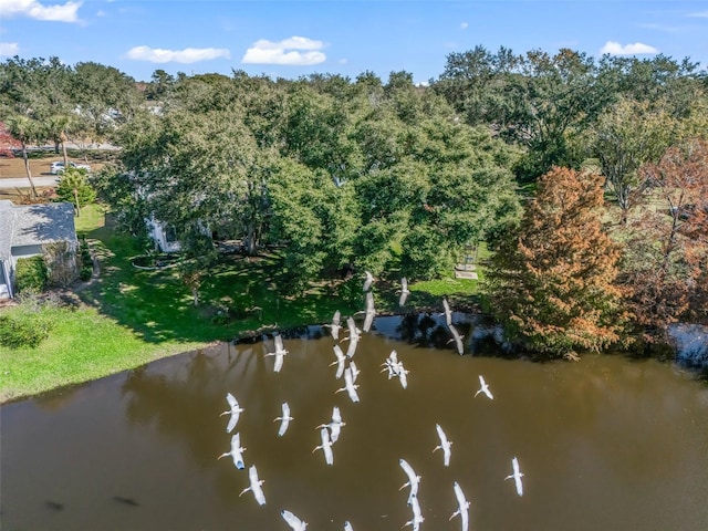 view of water feature