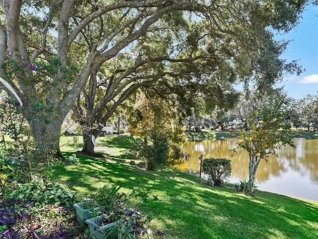 view of yard featuring a water view