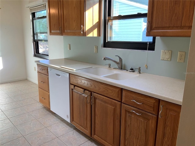 kitchen with dishwasher and sink