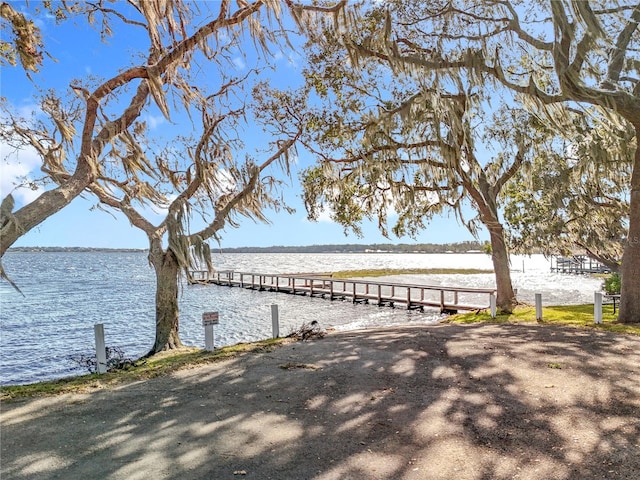 dock area with a water view