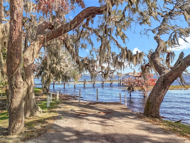 view of water feature featuring a boat dock