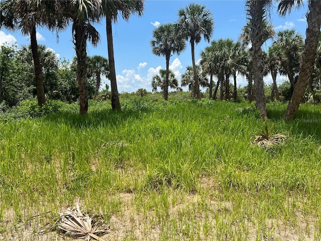 3026 Sage Ave SW, Palm Bay, FL 32908