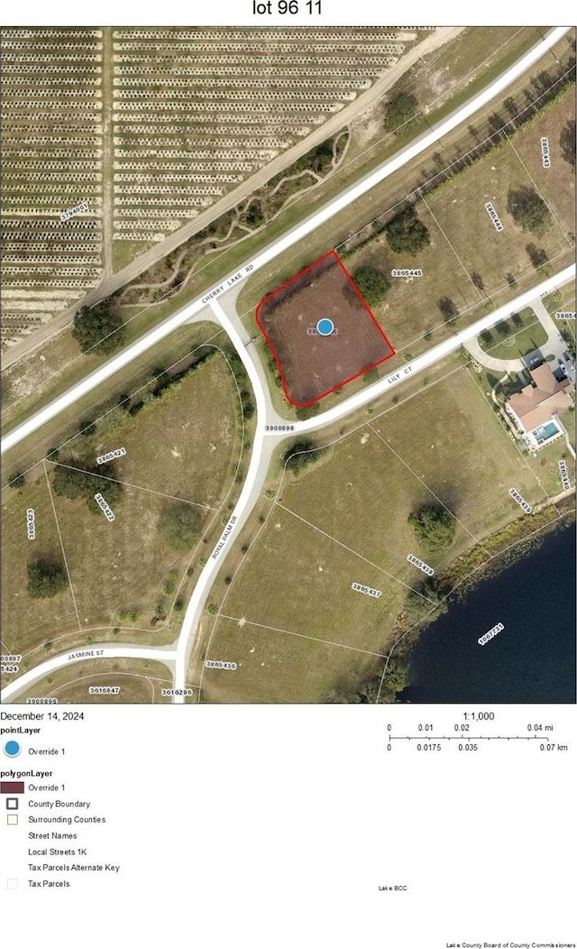 17200 Royal Palm Dr, Groveland FL, 34736 land for sale