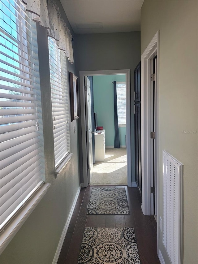 hallway with a healthy amount of sunlight and dark hardwood / wood-style flooring