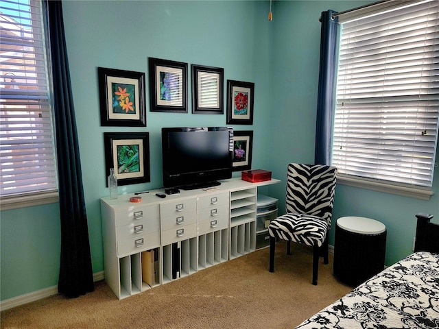 view of carpeted bedroom