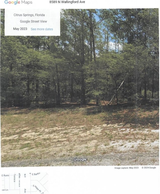 8611 N Wallingford Ave, Dunnellon FL, 34434 land for sale