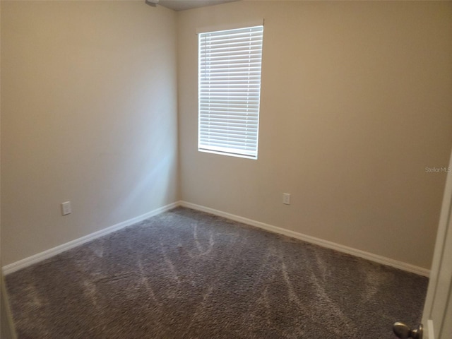 spare room with carpet