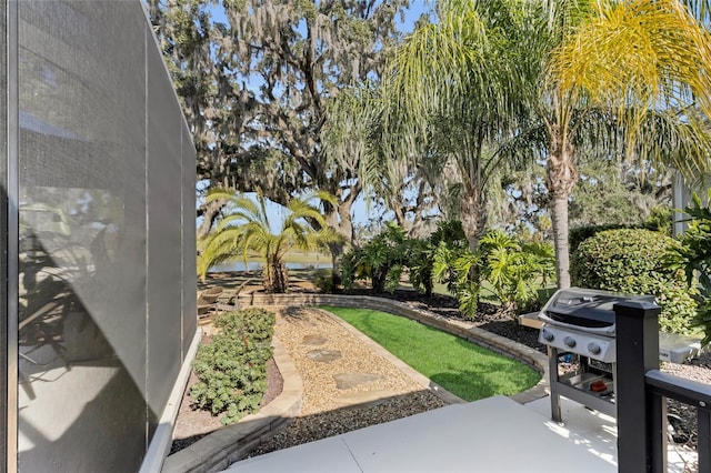 view of yard featuring a patio