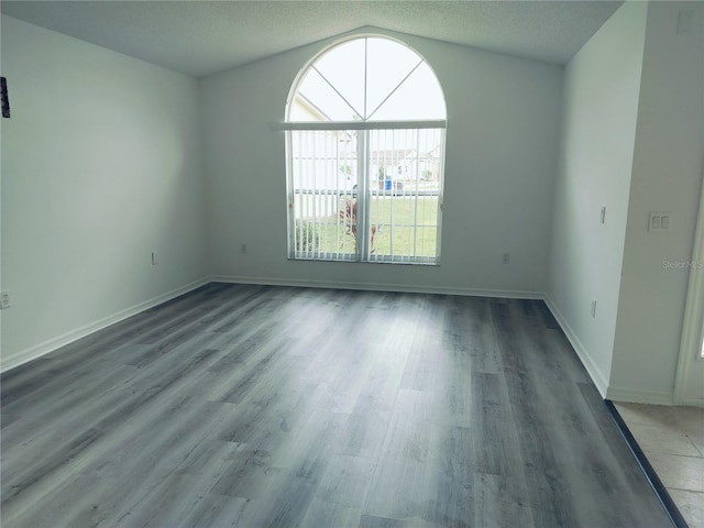 empty room featuring lofted ceiling, hardwood / wood-style flooring, and a healthy amount of sunlight