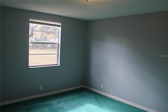 unfurnished room with carpet flooring and a textured ceiling