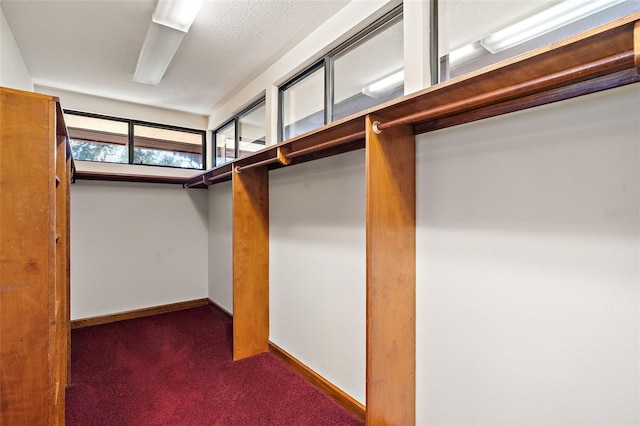 spacious closet with dark carpet