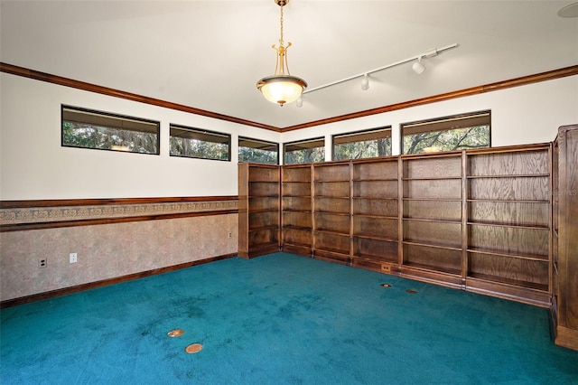 carpeted empty room featuring track lighting